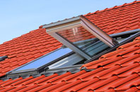 Gartocharn roof window
